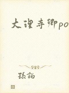大理寺卿po
