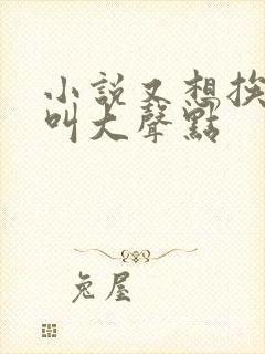 小说又想挨C了叫大声点