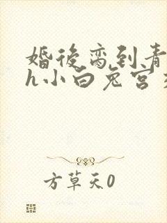 婚后脔到青梅哭h小白兔宫交h封面