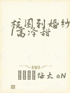 校园到婚纱1V1高冷甜