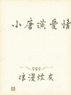 小唐璜爱情历史封面