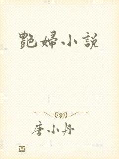 艳妇小说