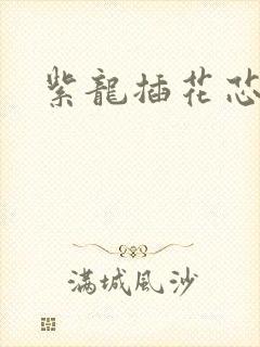 紫龙插花芯封面