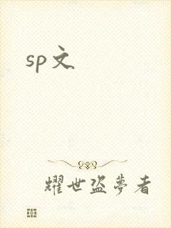 sp文封面