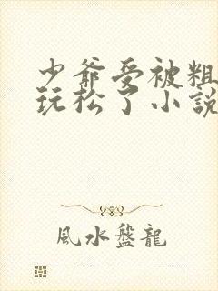 少爷受被粗汉H玩松了小说