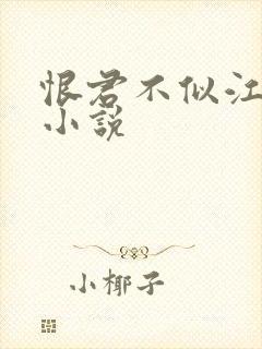 恨君不似江楼月小说封面
