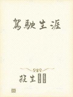 驾驶生涯