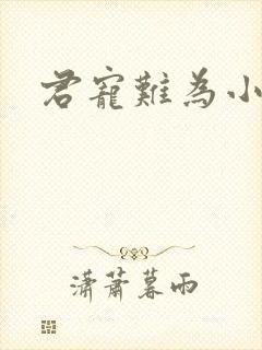 君宠难为小说