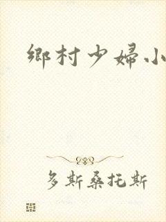 乡村少妇小说