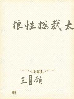 狼性总裁太凶猛