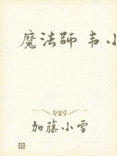 魔法师 韦小宝