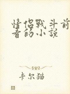 情侣战斗前适合看的小说