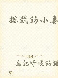 总裁的小妻子