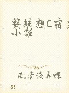 系统想C宿主的小说封面
