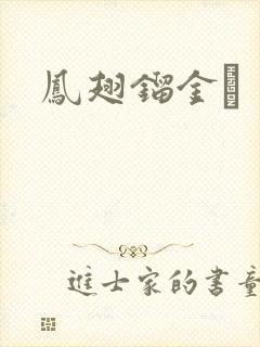 凤翅镏金镋封面