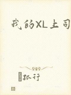 我的XL上司