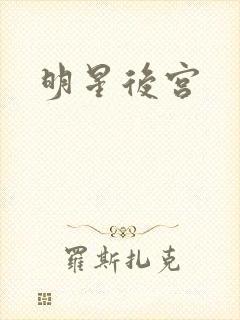 明星后宫