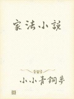 家法小说