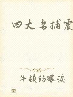 四大名捕震关东