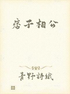 痞子相公