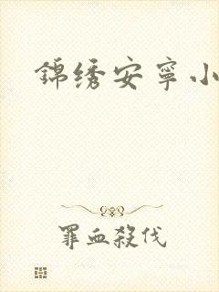 锦绣安宁小说