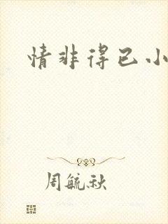 情非得已小说