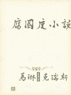 腐国度小说