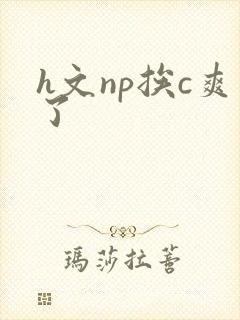 h文np挨c爽了