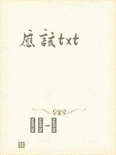 应该txt