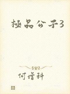 极品公子3