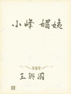 小峰 媚姨封面