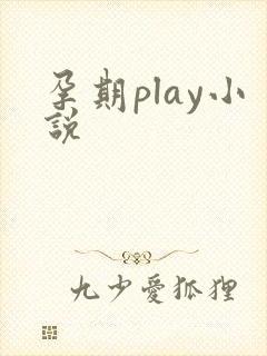 孕期play小说