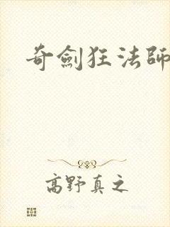奇剑狂法师