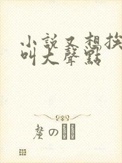 小说又想挨C了叫大声点