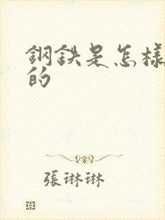 钢铁是怎样练成的封面