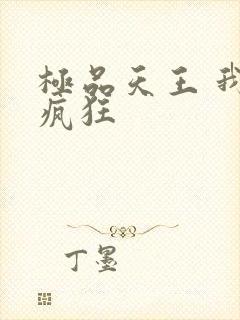 极品天王 我本疯狂