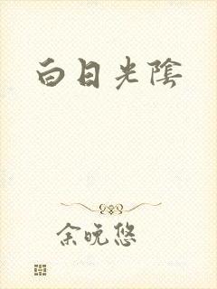白日光阴封面