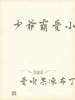 少爷霸爱小丫头