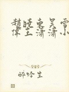 赵晓东吴雪晴郑伟王潇潇小说