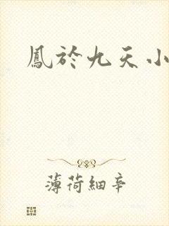 凤于九天小说