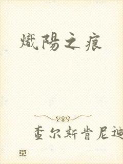 炽阳之痕封面