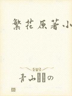 繁花原著小说封面