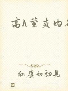 高h荤爽肉欲文