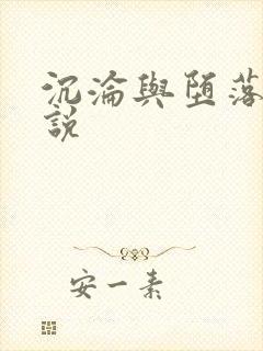 沉沦与堕落的小说封面