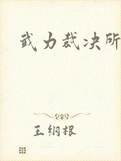 武力裁决所