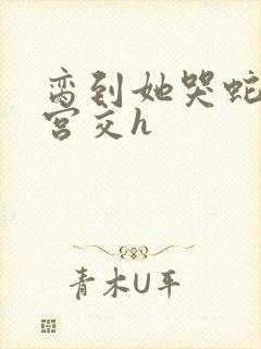 脔到她哭蛇双根宫交h封面