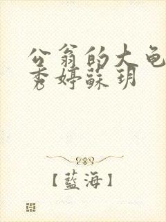 公翁的大龟挺进秀婷苏玥封面