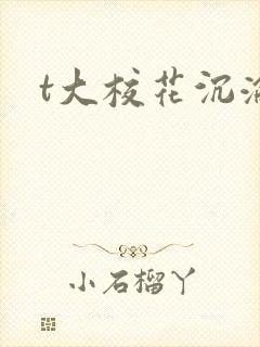 t大校花沉沦封面