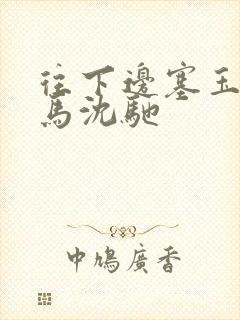 往下边塞玉器骑马沈驰
