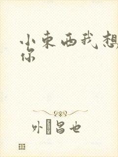 小东西我想弄坏你